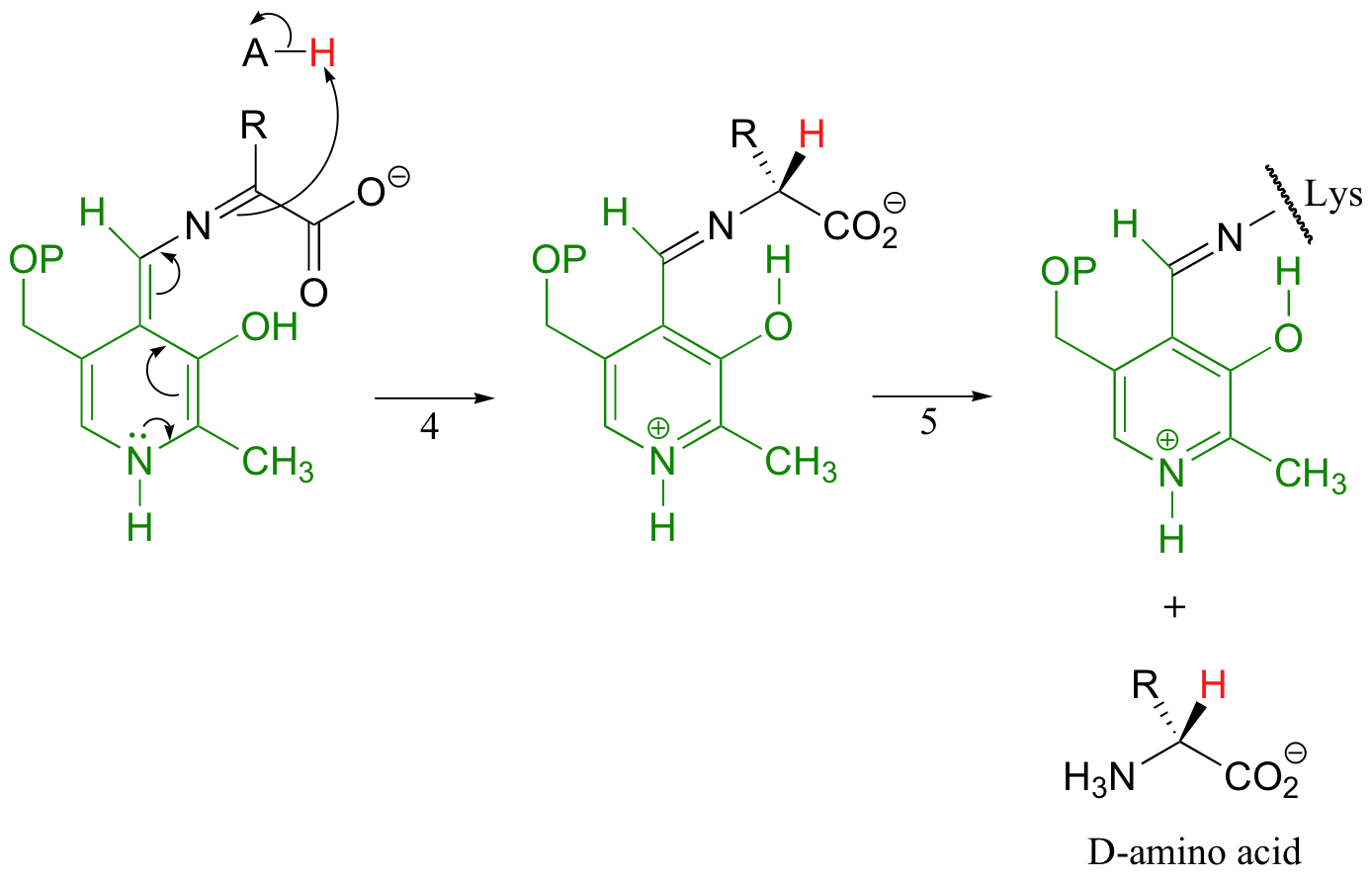 isomers andfrom C-alkanes