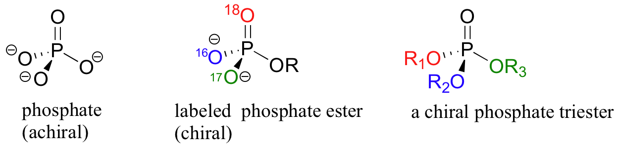 رسم تعدادی از ساختارهای ملکول های مهم (رزونانسی) =Phosphite-resonance