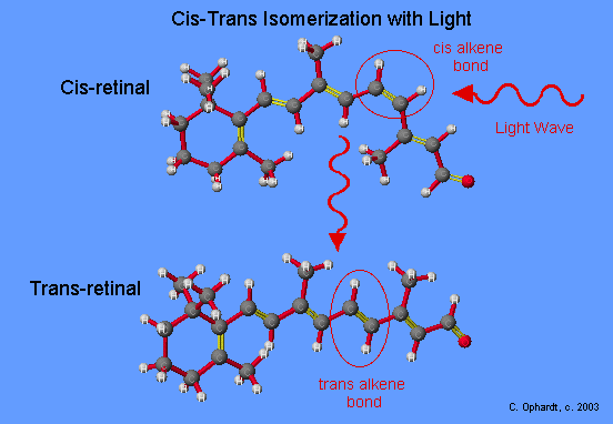 http://chemwiki.ucdavis.edu/@api/deki/files/736/=chemical_cell_(1).jpg