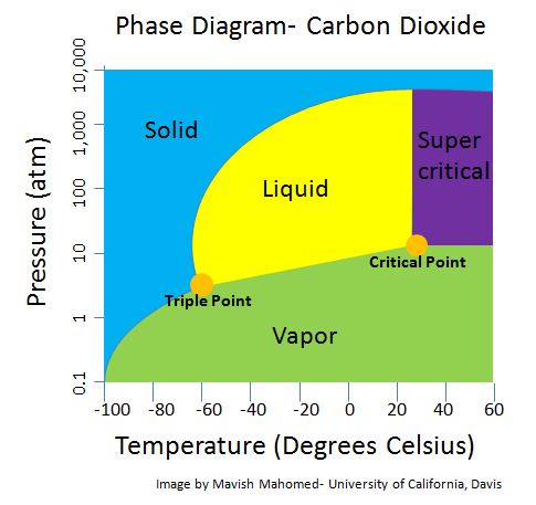 carbon dioxide supercritical study case phase diagram caffeine coffee co2 removing temperature chemwiki libretexts matter fluids processing physical